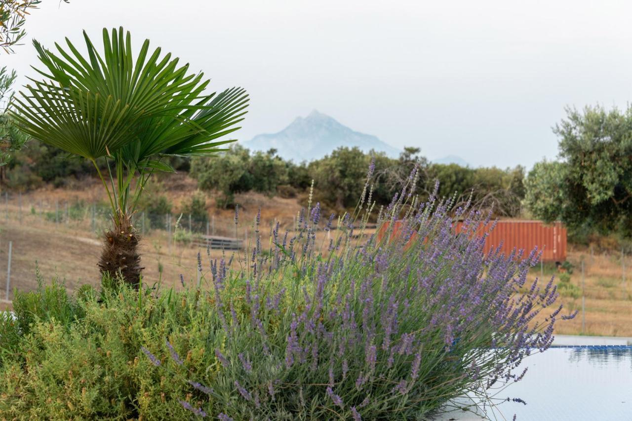 Afisia Villas Σάρτη Εξωτερικό φωτογραφία