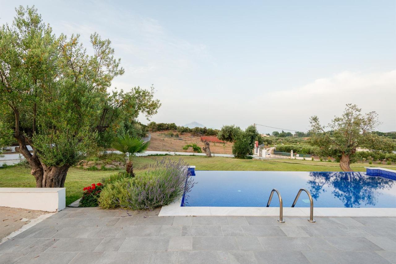 Afisia Villas Σάρτη Εξωτερικό φωτογραφία